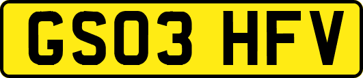 GS03HFV