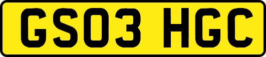 GS03HGC