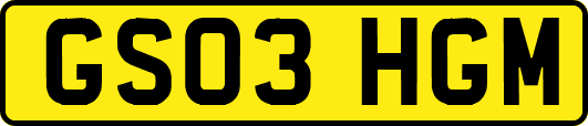 GS03HGM