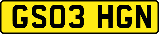 GS03HGN