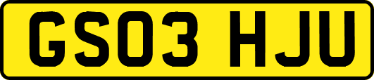 GS03HJU