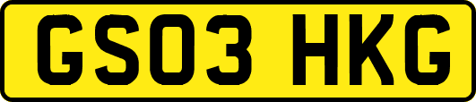 GS03HKG