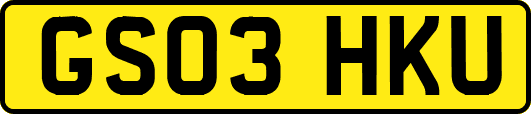 GS03HKU