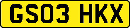 GS03HKX