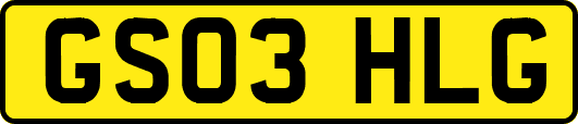 GS03HLG