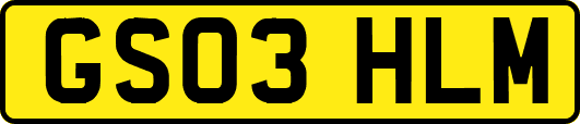 GS03HLM