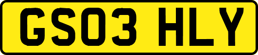 GS03HLY