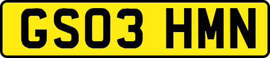 GS03HMN