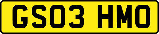 GS03HMO
