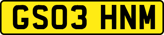 GS03HNM
