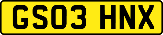 GS03HNX