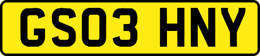 GS03HNY