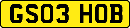 GS03HOB