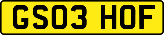 GS03HOF