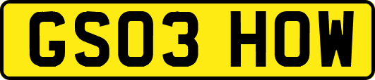 GS03HOW