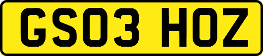 GS03HOZ