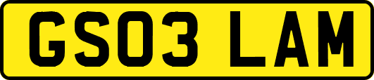 GS03LAM