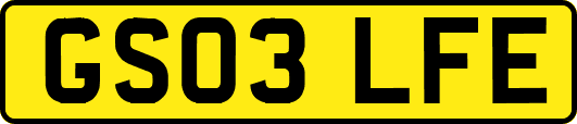 GS03LFE