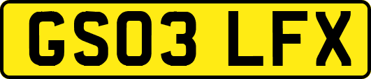 GS03LFX