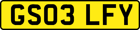 GS03LFY