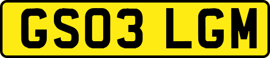 GS03LGM