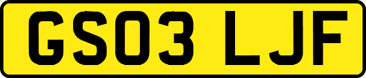 GS03LJF