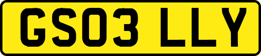 GS03LLY