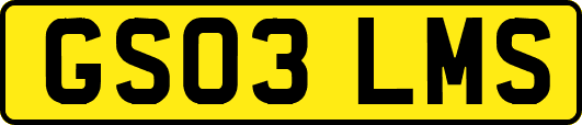 GS03LMS