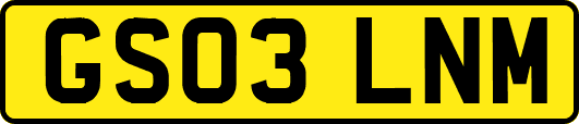 GS03LNM