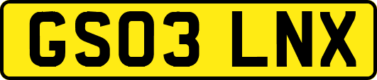GS03LNX