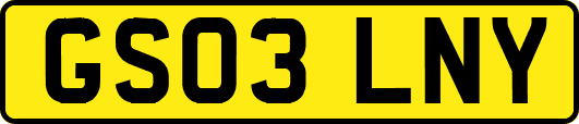 GS03LNY