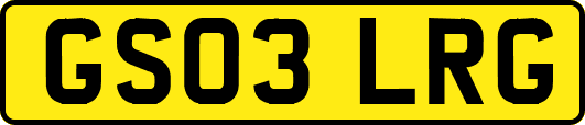 GS03LRG