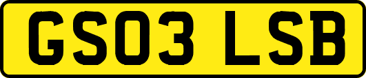 GS03LSB