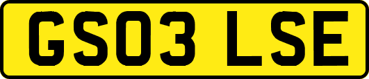GS03LSE