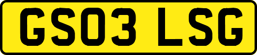 GS03LSG