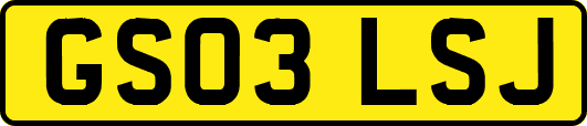 GS03LSJ