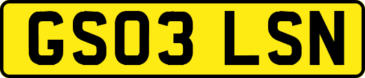 GS03LSN