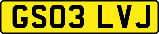 GS03LVJ