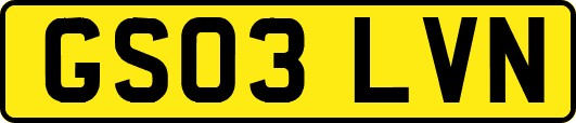 GS03LVN