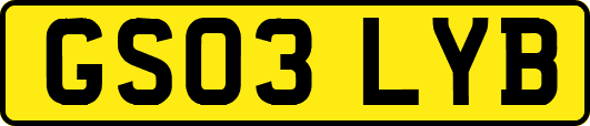 GS03LYB