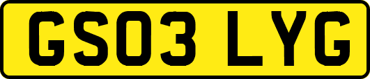 GS03LYG