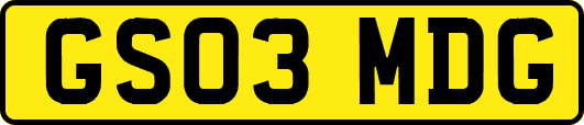 GS03MDG