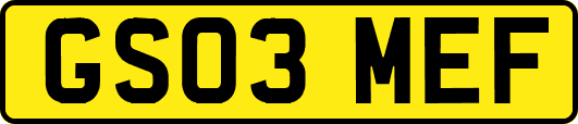 GS03MEF