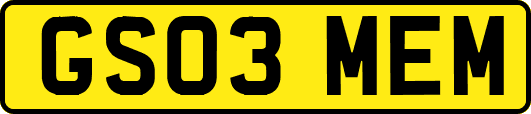 GS03MEM