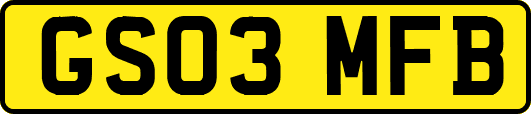 GS03MFB