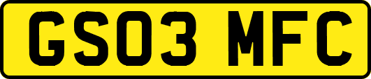 GS03MFC