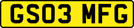 GS03MFG