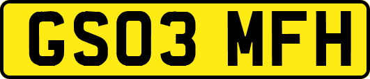 GS03MFH