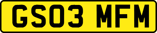 GS03MFM