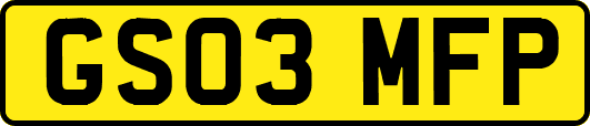 GS03MFP